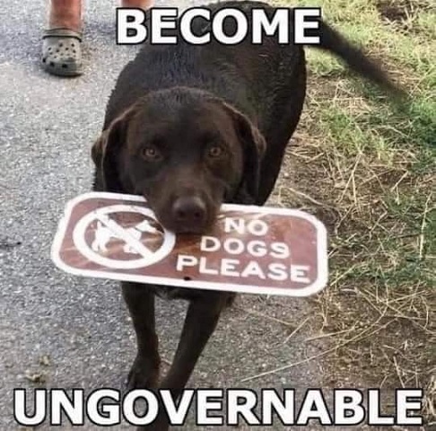What to do in 2022, Become Ungovernable