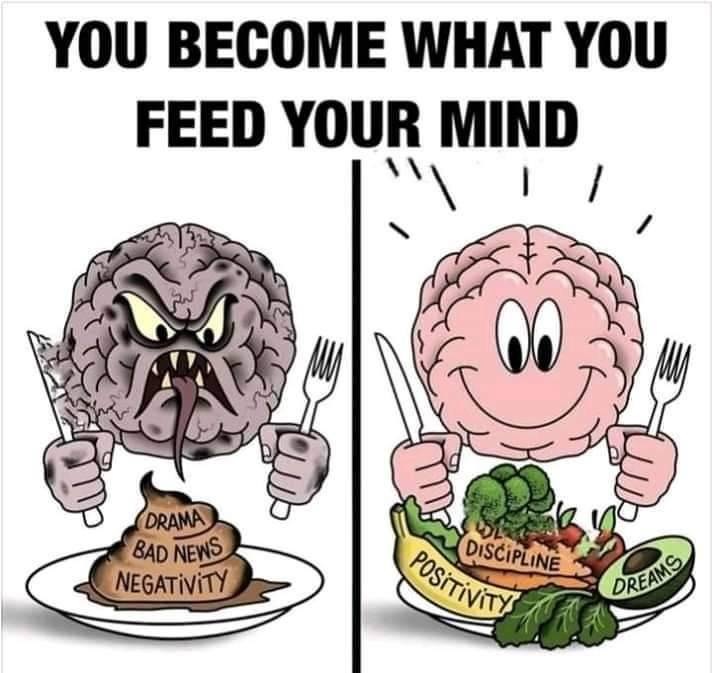 What are you feeding your mind?
