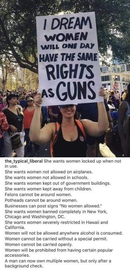 The Anti-Gun Dream is a Woman's Nightmare!