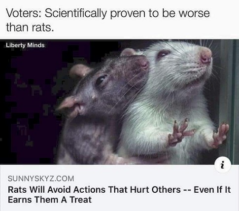 Better a Rat than a Voter