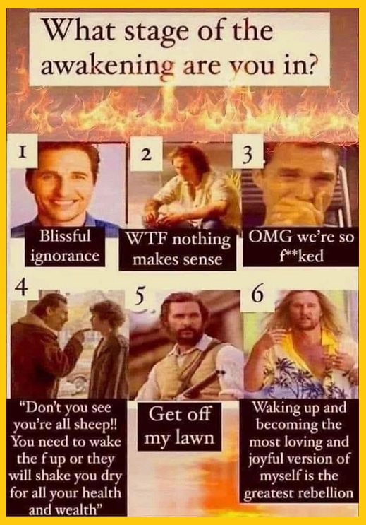 What stage of Awakening are you in?