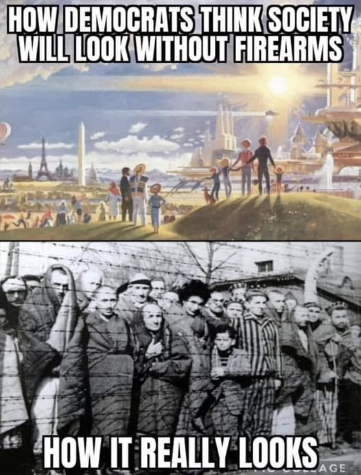 What Democrats Think Gun Control Looks Like