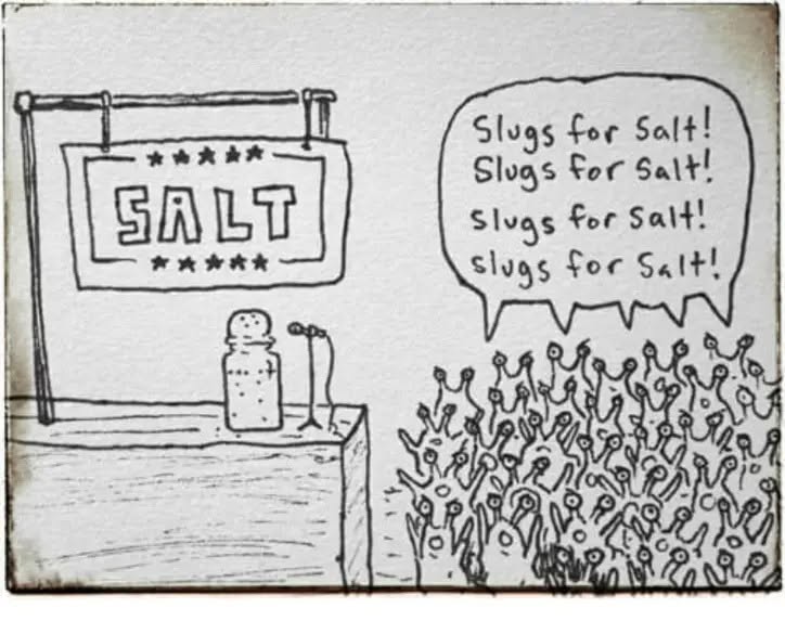 Slugs for Salt!
